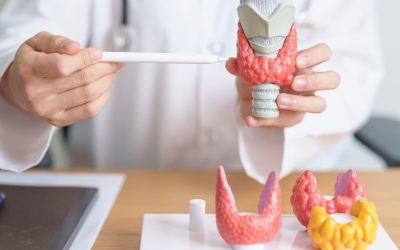 Understanding Thyroid Biopsy What to Expect, Results, and Interpretation