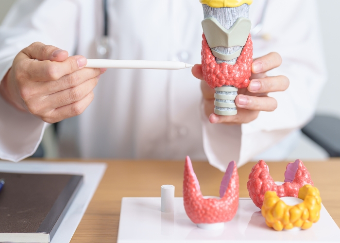 Understanding Thyroid Biopsy What to Expect, Results, and Interpretation